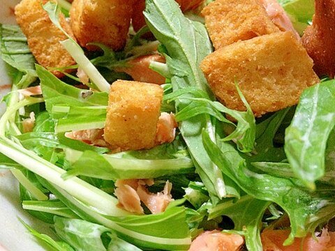 塩鮭とクルトンの水菜サラダ